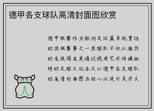 德甲各支球队高清封面图欣赏
